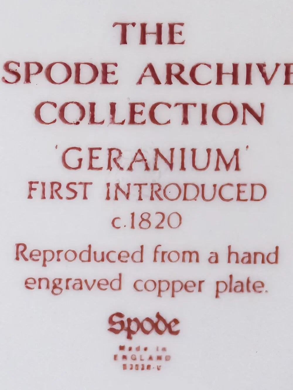 Spode Archive Collection Geranium Pattern. Jumbo Cup and Saucer. Vtg. England